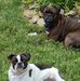 Daryl Steiner - Facebook
