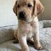 Darrel Stock - Facebook