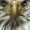 user5463203767123 - @darrylarmstrong2 - TikTok