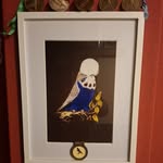 Darryl Stuart Gledhill - @gled1956 - Instagram