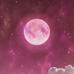 Darryl suber - @catfan_666 - Instagram