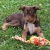 Darryl Summers - Facebook