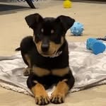 Darryl Summers - @darrylsummers1457 - Instagram