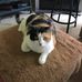 Darryl Sumner - Facebook