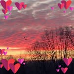 Darryl Sutton - @dwsutton28 - Instagram