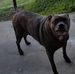 Darrell Swanson - Facebook