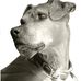 Darryl Swanson - Facebook