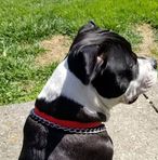 Darryl Tabscott - Facebook