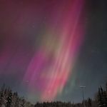 Darryl Thomson - @darryl_thomson - Instagram