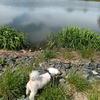 @Darrylthomson_07 - @darryl_thoms19 - TikTok