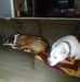 Darrell Trahan - Facebook