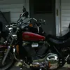daryltrapp1 - @daryl.trapp - TikTok
