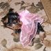 Darryl Trosclair - Facebook
