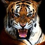 Darryl Turner - @darryl.turner.35762 - Instagram
