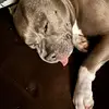 Darrell Vance - @darrell.vance0 - TikTok