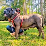 Daryl Vásquez Castañeda - @daryl_vasquezc - Instagram