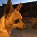 Darryl Vickery - Facebook