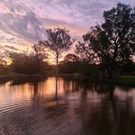 Darryl Wakelin - @darryl.wakelin - Instagram