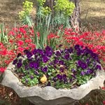 Darryle Waldron - @waldrondarryle - Instagram