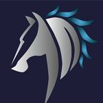Darryl Walker - @darrylwalker.showjumping - Instagram