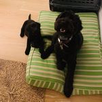 Darryl_&_Wally - @darryl__wally - Instagram
