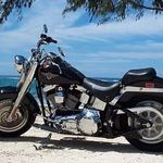 Darryl Wall - @dfwhog - Instagram