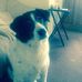 Darryl Waller - Facebook