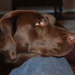 Darryl Watson - @darryl.watson.5 - Instagram