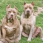 Darryl Wayne Johnson - @darrylwaynejohnson - Instagram