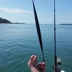 Darryl Wells - @darryl.wells.7334 - Instagram
