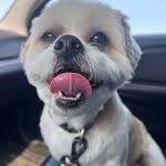 Daryl Whaley - @darylwhaley1 - Instagram