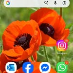Darryl Wheatley - @darryl.wheatley.9 - Instagram