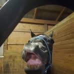 Darryl Wheaton - Facebook