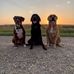 Darryl White - Facebook