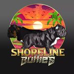 Darryl White - @shorelinebullies - Instagram