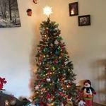 Marnie Wilcox - @wilcox.darryllv - Instagram