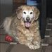 Darryl Wiley - Facebook