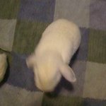 Darryl Williamson - @darrylwilliamson - Instagram