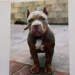 Darryl Williamson - @darryl.williamson.7777 - Instagram