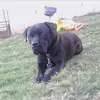 darrylwise86 - @darrylwise86 - TikTok