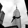Darryl Withrow - @darryl.withrow - TikTok