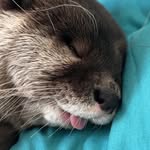 @darrylwolfaardt - Instagram