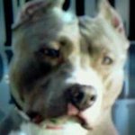 @darrylwomack - Instagram