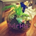 Darryl Wong - @quirkydarryl - Instagram