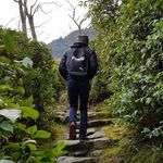 Darryl Wong - @dwongjw - Instagram
