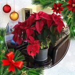 Darryl Wong - @darryl.wong.58 - Instagram