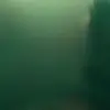 Darrynton Evans - @..i.fifa..mobile..player - TikTok