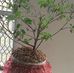 Darshan Prasad - Facebook