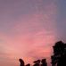 Darshan Rai - Facebook
