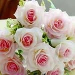 darshansohi - @darshansohi4413 - Instagram